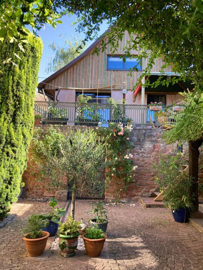 Le Grenier - Piscine Et Spa マルレンハイム エクステリア 写真