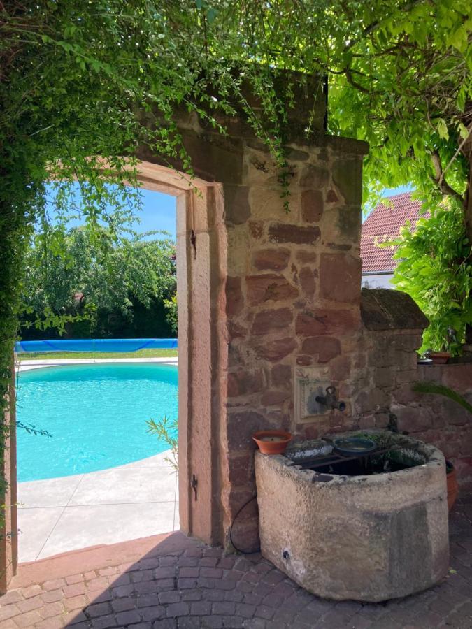 Le Grenier - Piscine Et Spa マルレンハイム エクステリア 写真
